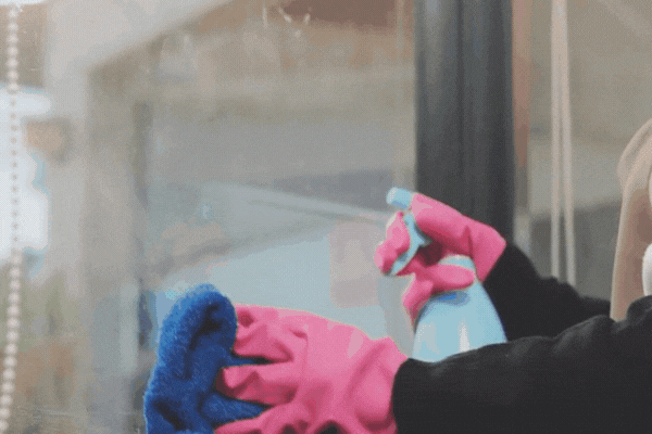 A close-up of hands wearing bright pink rubber gloves spraying a cleaning solution onto a window and wiping it with a blue microfiber cloth, demonstrating proper window tint maintenance.