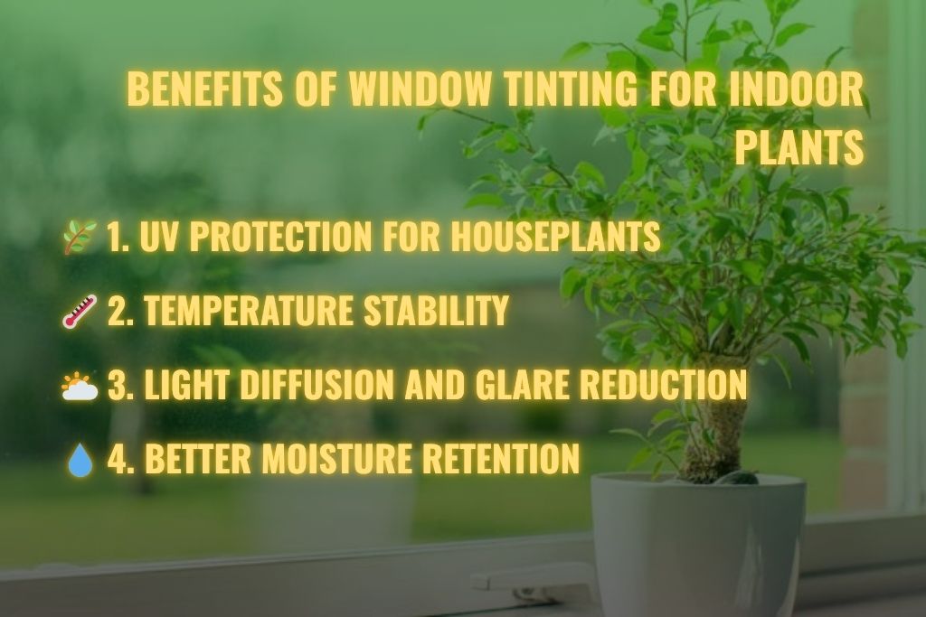 Infographic titled “Benefits of Window Tinting for Indoor Plants” over an image of a potted plant by a sunny window, listing UV protection, temperature stability, light diffusion and glare reduction, and better moisture retention.